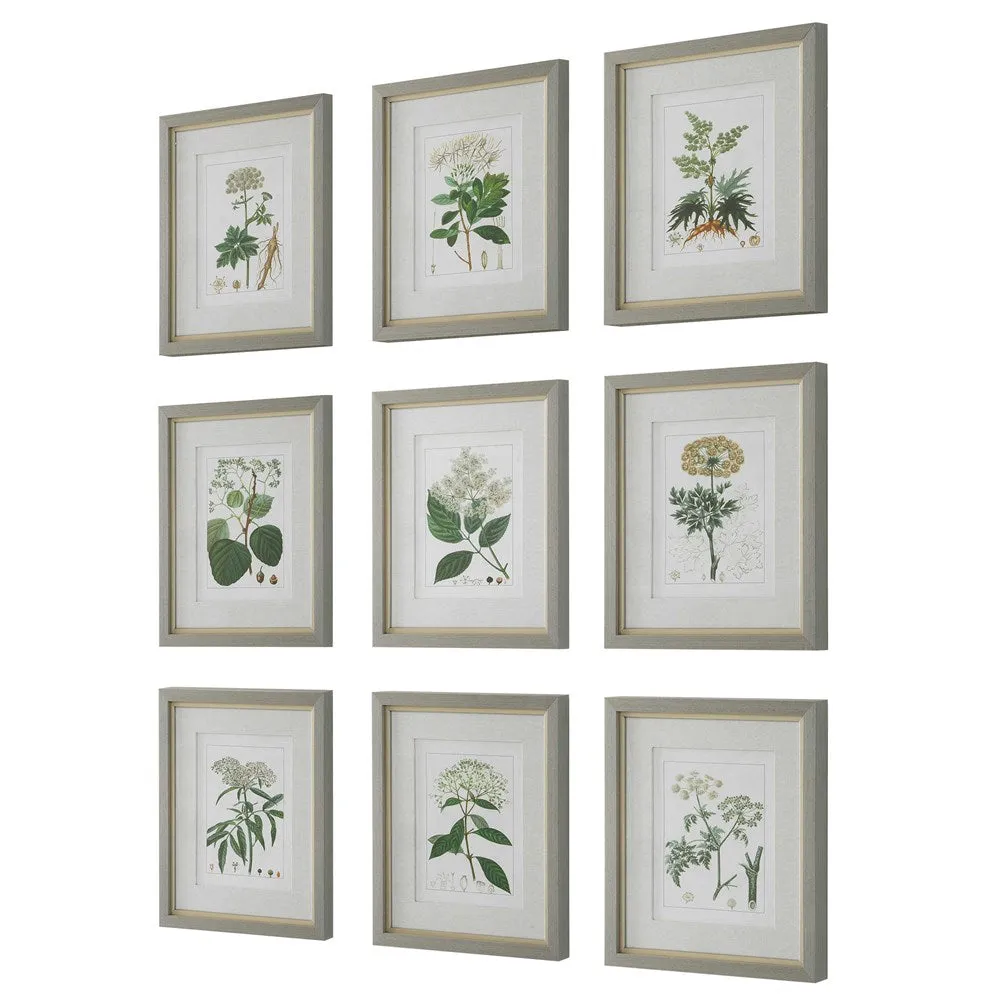 ANTIQUE BOTANICALS FRAMED PRINTS, S/9