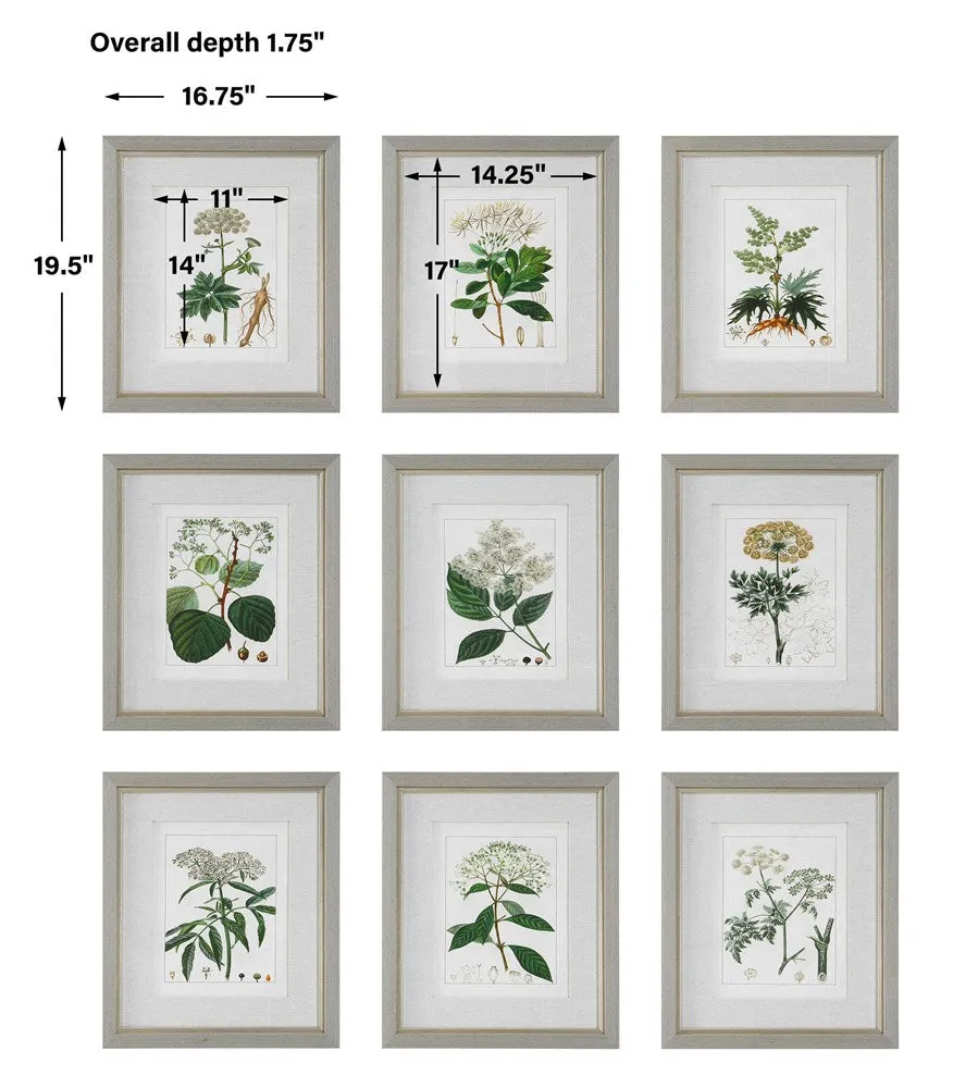 ANTIQUE BOTANICALS FRAMED PRINTS, S/9