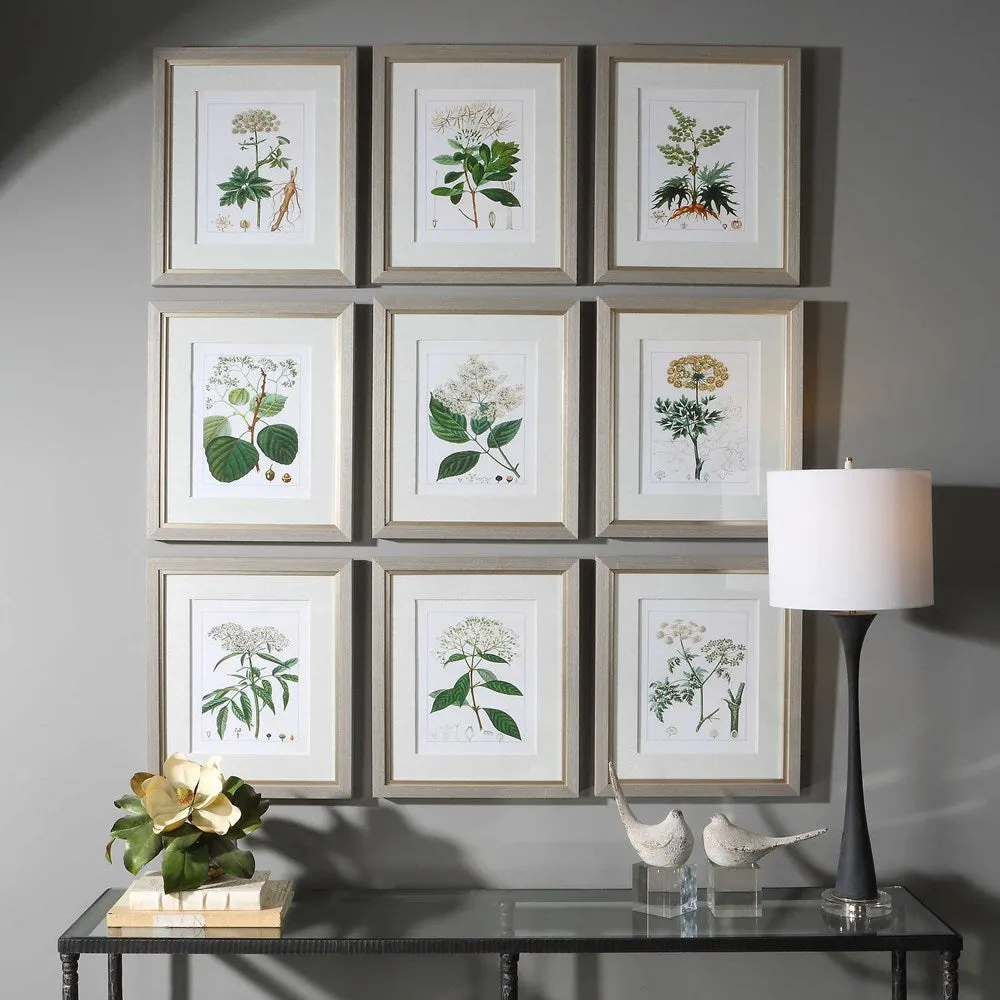 ANTIQUE BOTANICALS FRAMED PRINTS, S/9