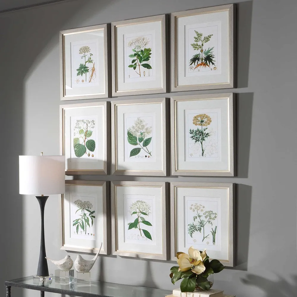 ANTIQUE BOTANICALS FRAMED PRINTS, S/9